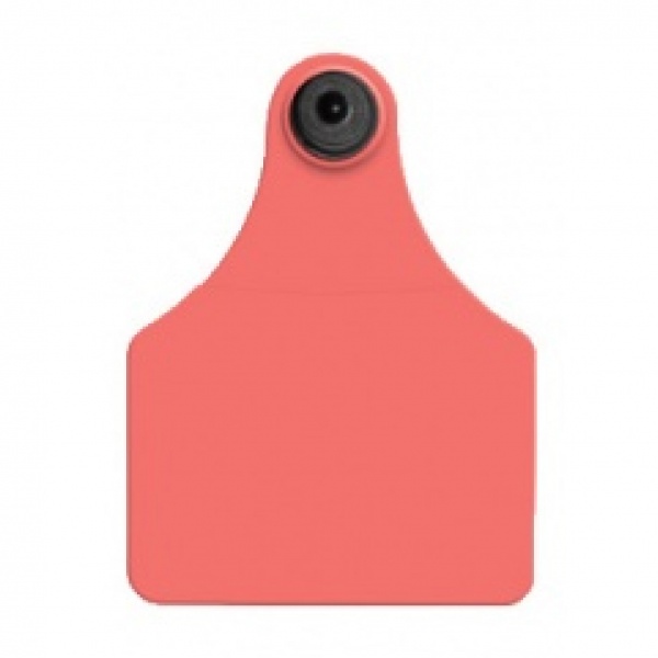 Tamperproof™ Large Female