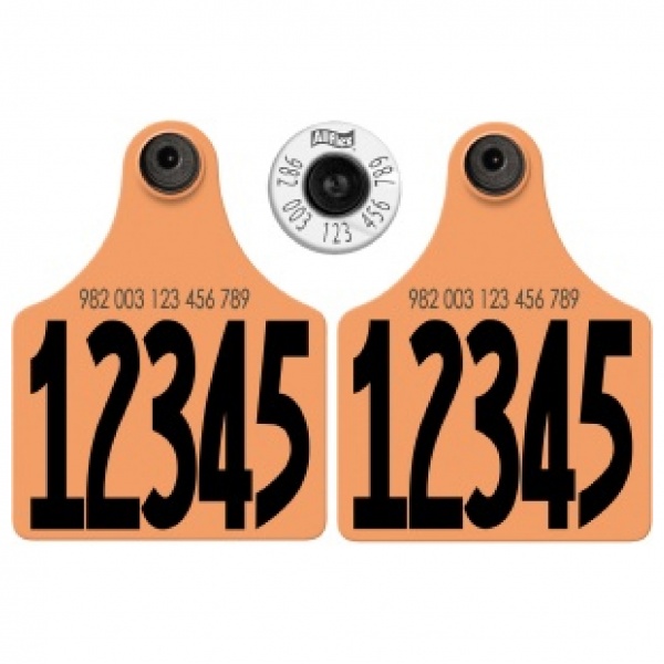 HDX – Maxi Matched Set 17