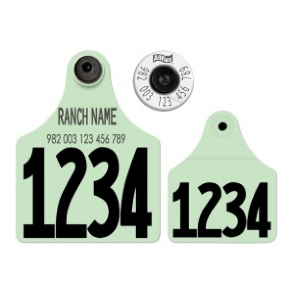 HDX – Maxi Matched Set 31