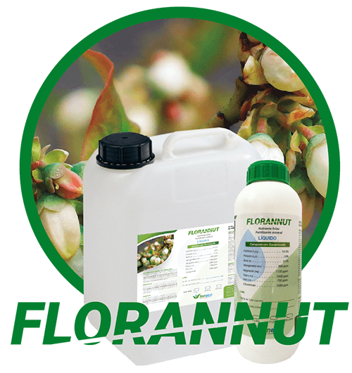 FLORANNUT