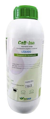 CAB-INN